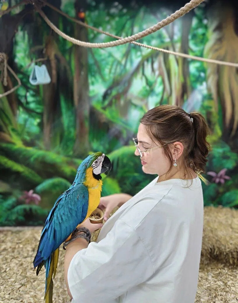 Фото 101 попугай - контактный зоопарк с попугаями - Антикафе с животными в Москве | Досугатор