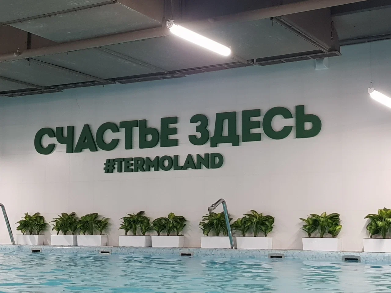 Фото Термальный комплекс "Termoland" (Крымская) - Аквапарки в Москве | Досугатор