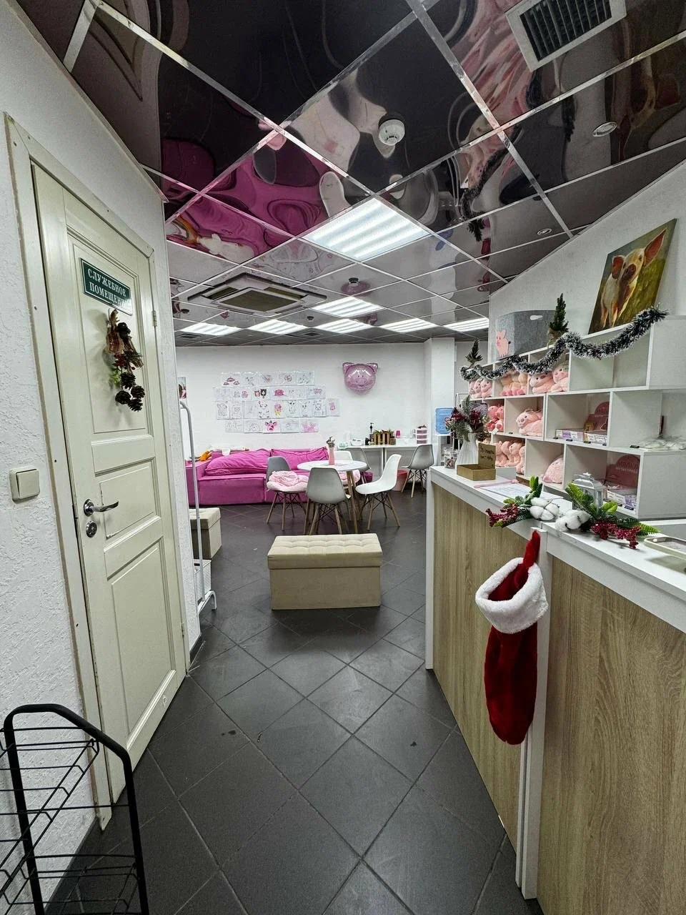 Фото Антикафе с мини-пигами Piggi Place на Рязанском проспекте - Зоопарки / Фермы / Океонариумы в Москве | Досугатор