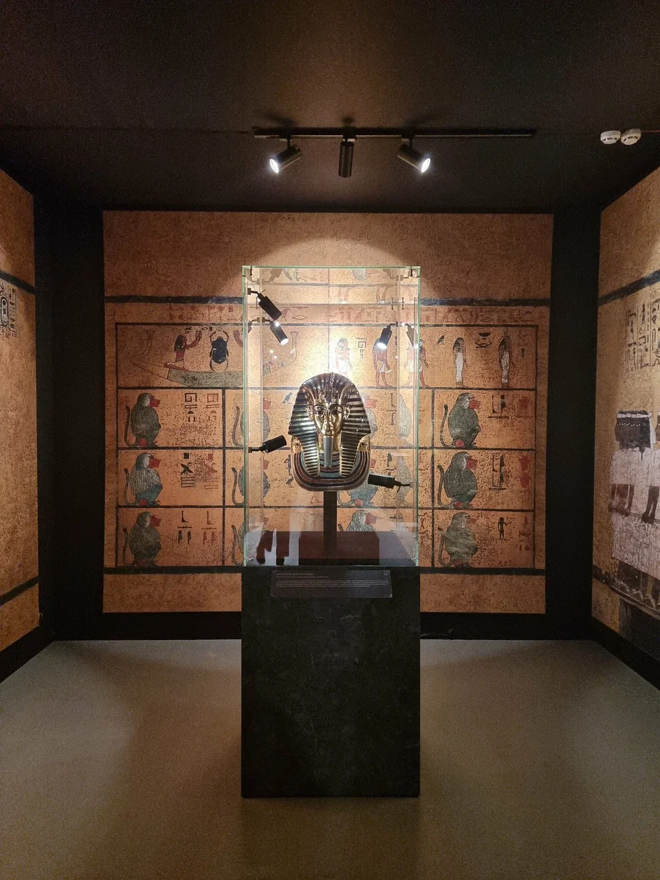 Фото Выставка "Сокровища гробницы Тутанхамона" - Интересное в Москве | Досугатор