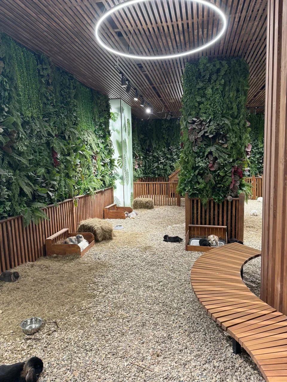 Фото Лапки парк - Зоопарки в Москве | Досугатор