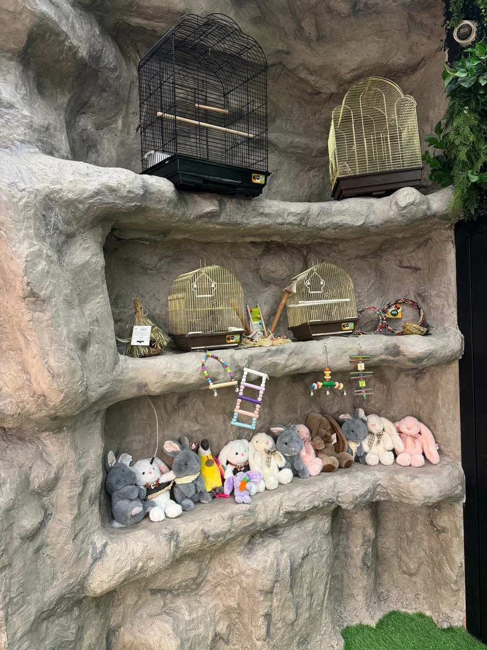 Фото Лапки парк - Зоопарки в Москве | Досугатор