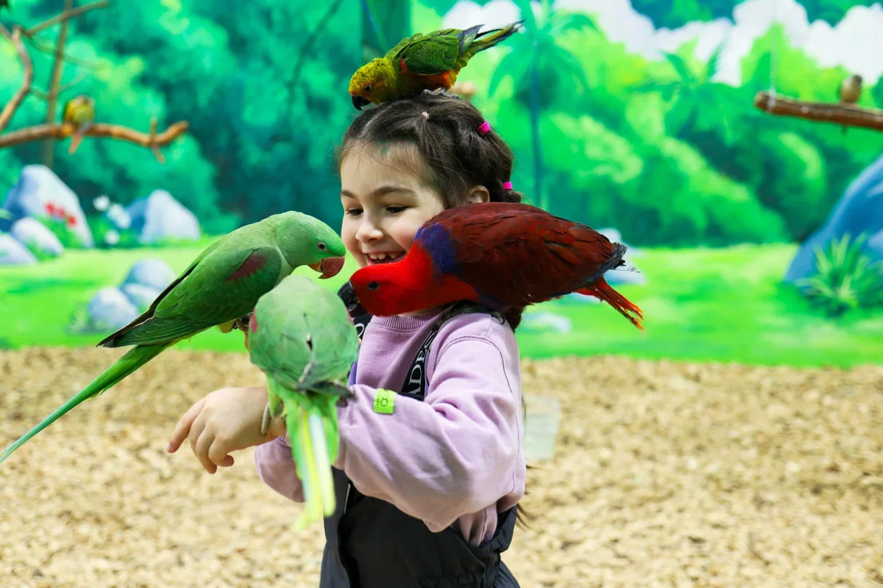 Фото Лапки парк - Зоопарки в Москве | Досугатор