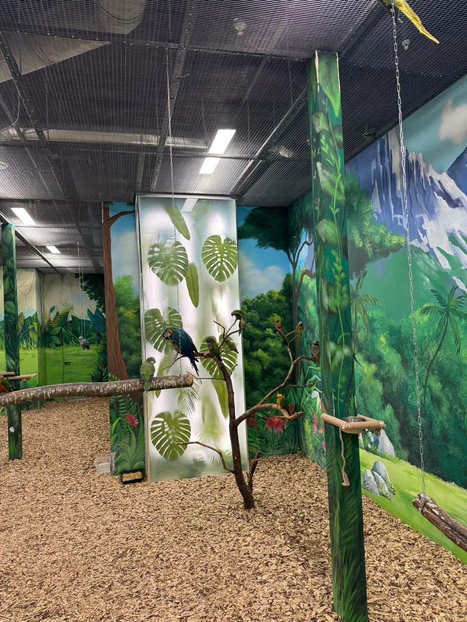 Фото Лапки парк - Зоопарки в Москве | Досугатор