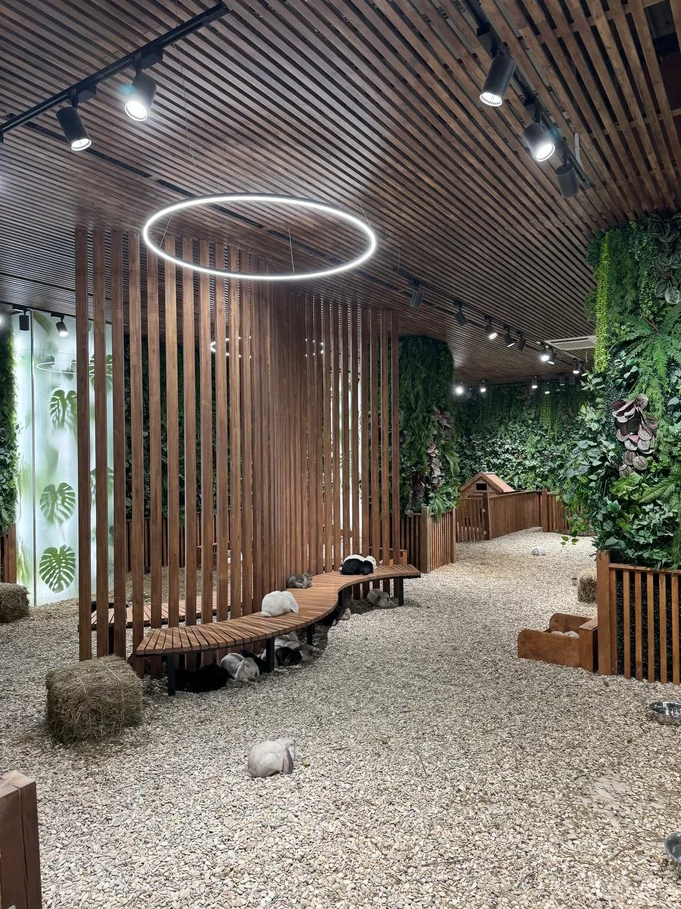 Фото Лапки парк - Зоопарки в Москве | Досугатор