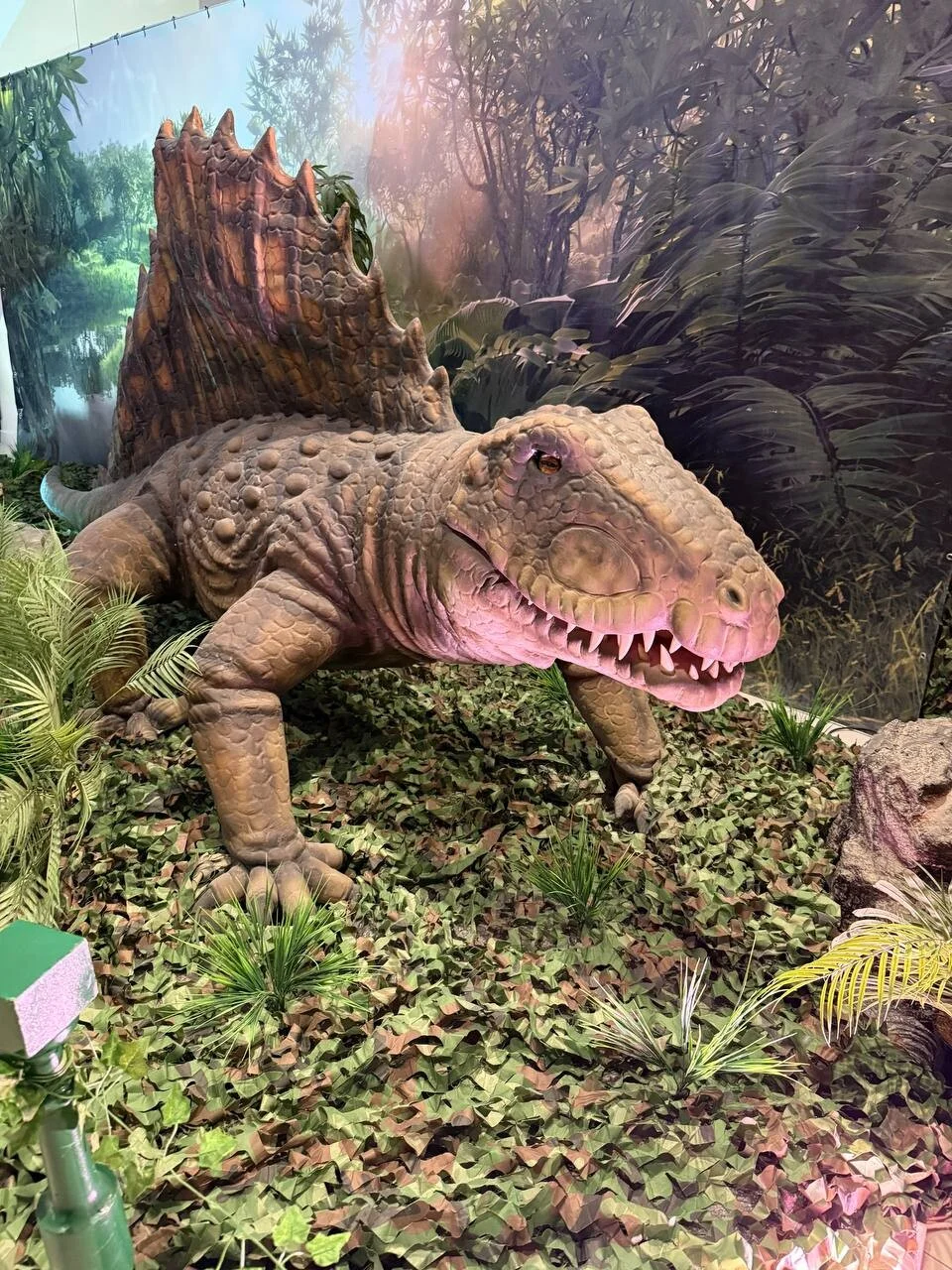 Фото Выставка Затерянный мир в ТРЦ Ривьера - Познавательное в Москве | Досугатор