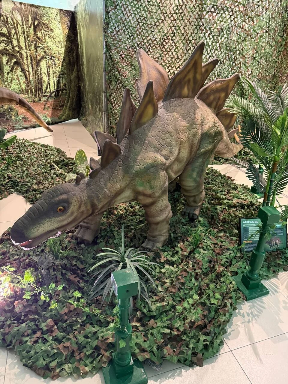 Фото Выставка Затерянный мир в ТРЦ Ривьера - Познавательное в Москве | Досугатор