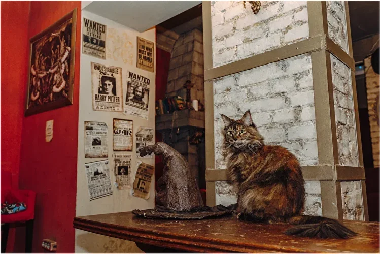 Фото Дом Гарри Поттера - Интересное в Москве | Досугатор