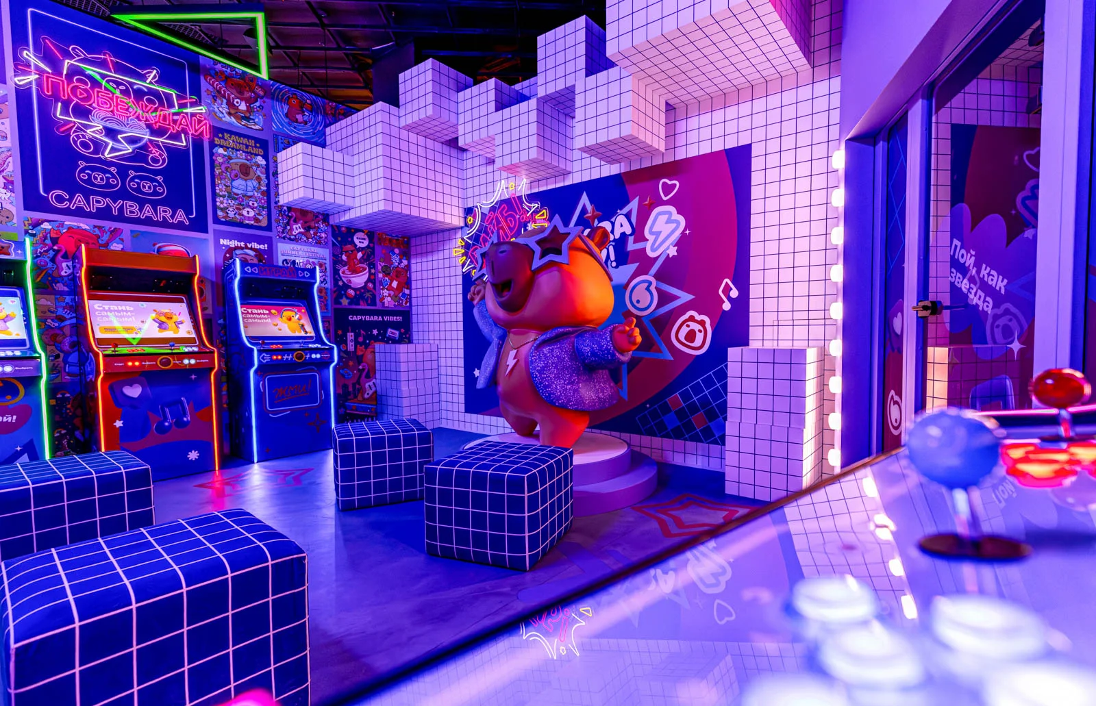 Фото Мультимедийная выставка «Капибарабууум» - Интересное в Москве | Досугатор