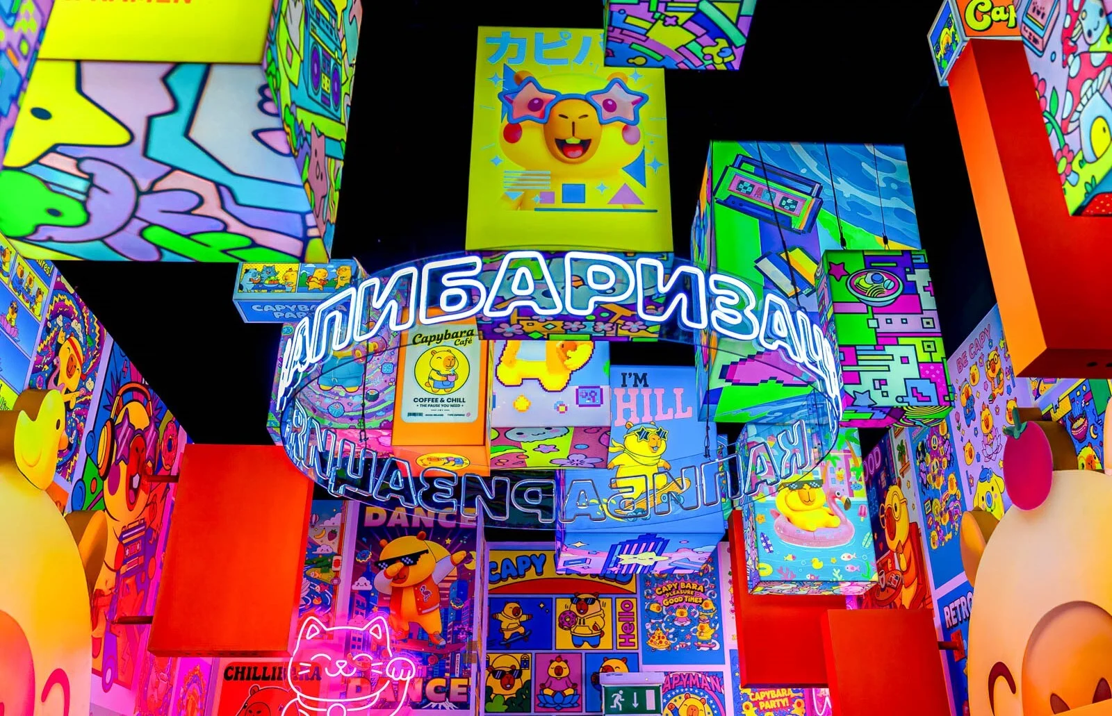 Фото Мультимедийная выставка «Капибарабууум» - Интересное в Москве | Досугатор