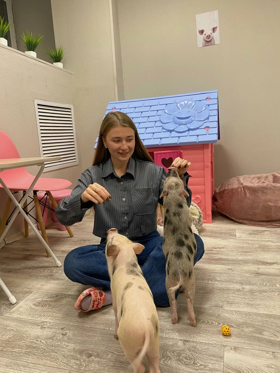 Фото Антикафе с мини-пигами Piggi Place на Профссоюзной - Зоопарки / Фермы / Океонариумы в Москве | Досугатор