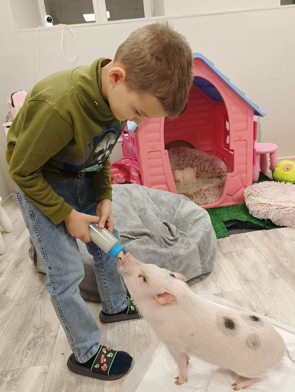 Фото Антикафе с мини-пигами Piggi Place на Профссоюзной - Зоопарки / Фермы / Океонариумы в Москве | Досугатор