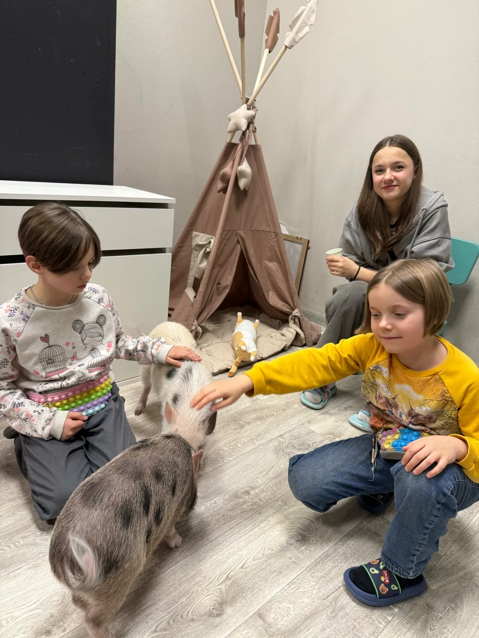 Фото Антикафе с мини-пигами Piggi Place на Профссоюзной - Зоопарки / Фермы / Океонариумы в Москве | Досугатор