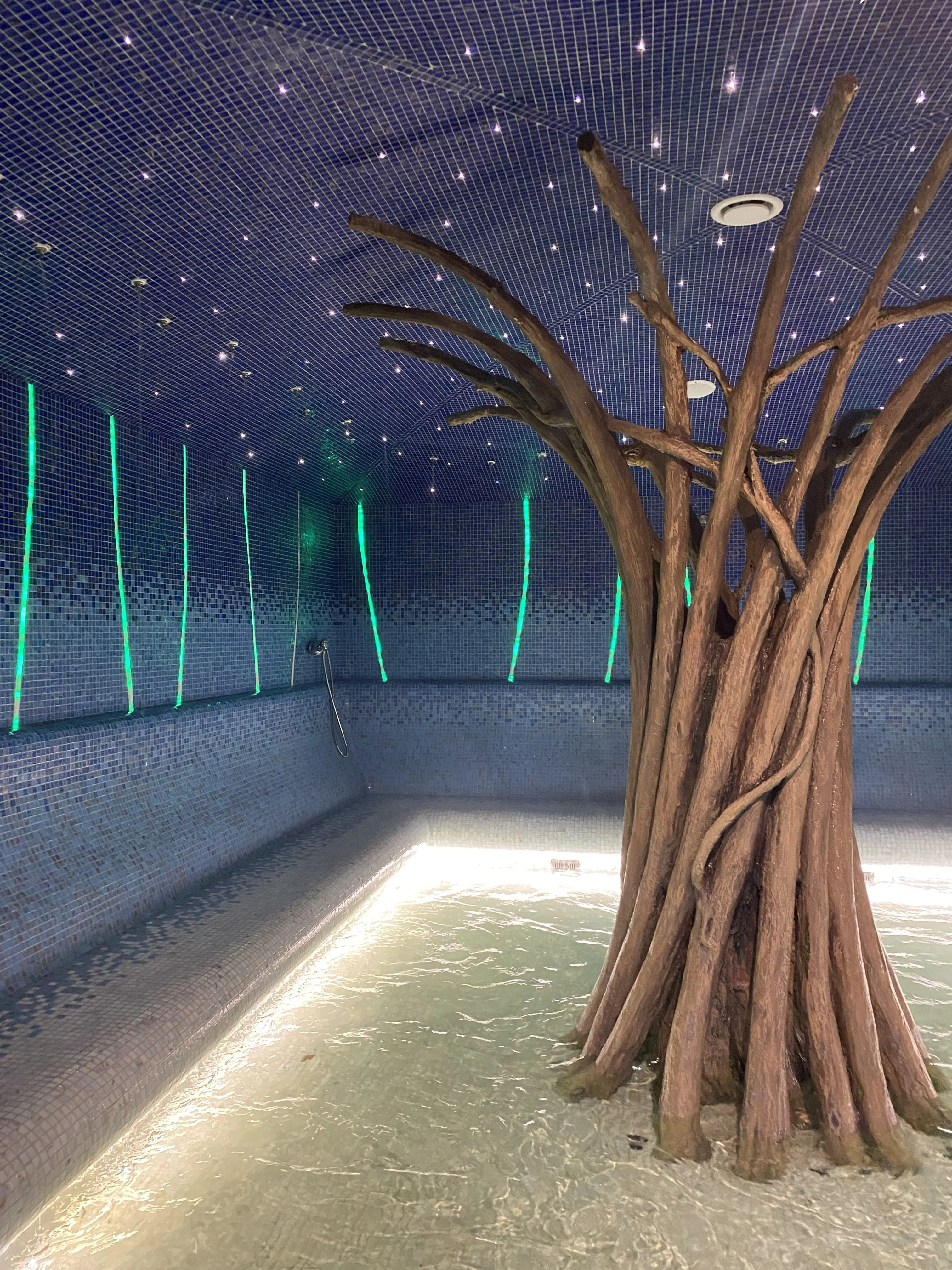 Фото Термальный комплекс "Termoland" (Физтех) - Аквапарки в Москве | Досугатор