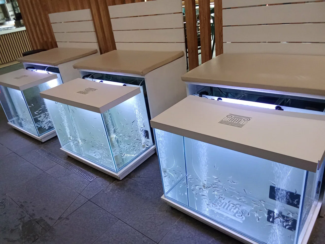 Фото Новые термы (г. Тверь) - Термы в Москве | Досугатор