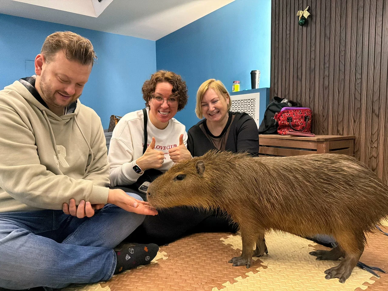 Фото Антикафе Капибарная - Антикафе с животными в Москве | Досугатор